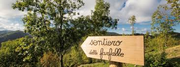 Risultato immagini per sentiero delle farfalle