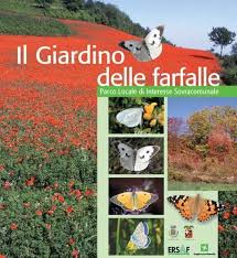 Risultato immagini per giardino delle farfalle pavia